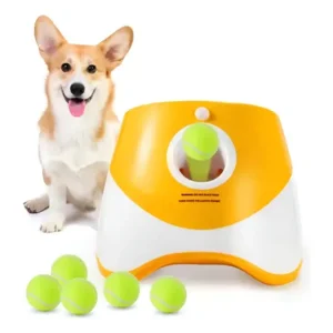 Cachorro brincando com brinquedo automático lançador de bolinha