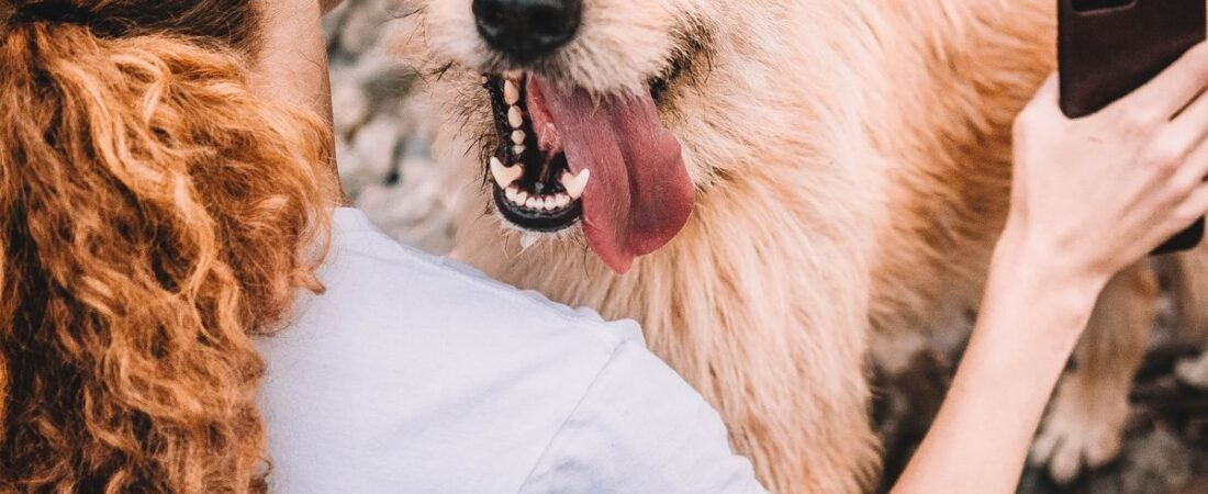 Pet Influencers: Como os Bichos Estão Dominando as Redes Sociais